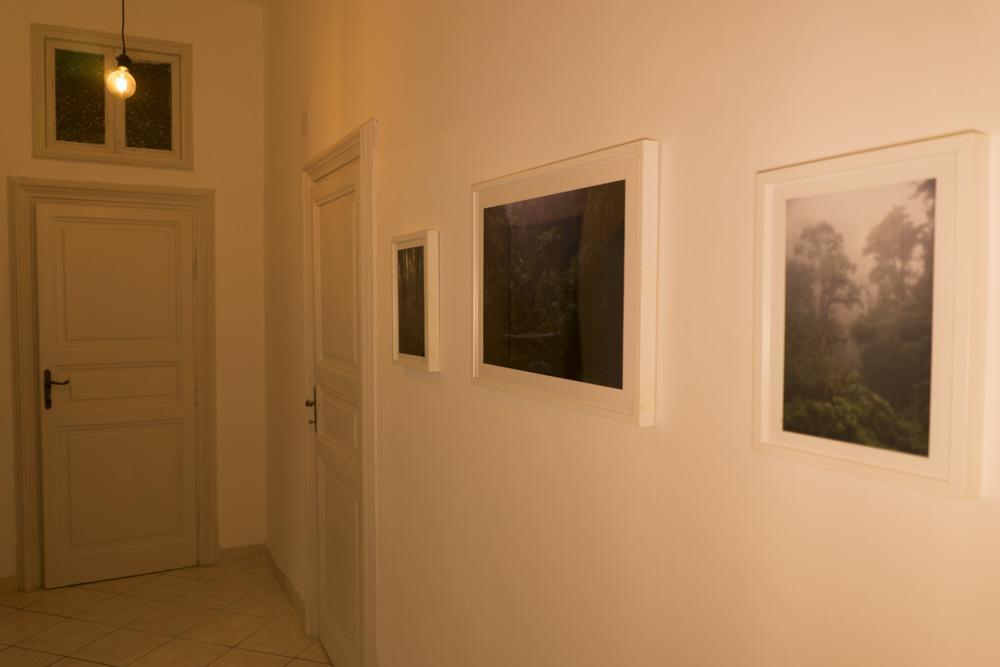 Trastevere Corner Eight Róma Kültér fotó