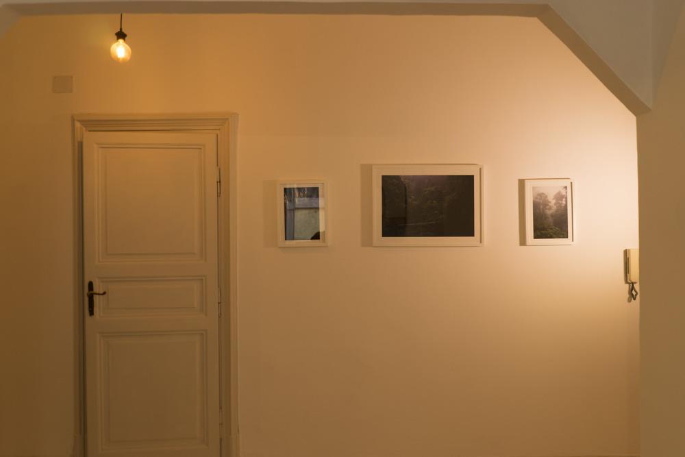 Trastevere Corner Eight Róma Kültér fotó